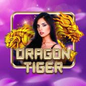 Dragon Tiger okolay